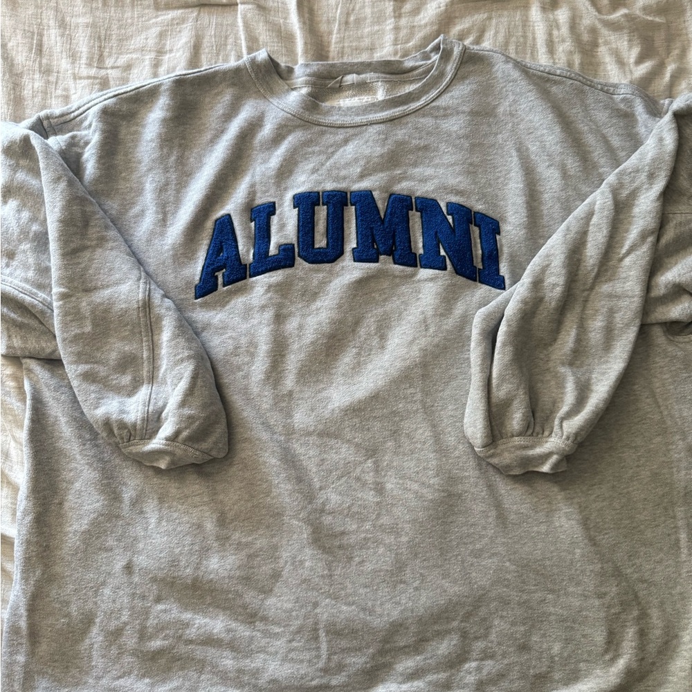 Aerie Gray Embroidered Sweatshirt